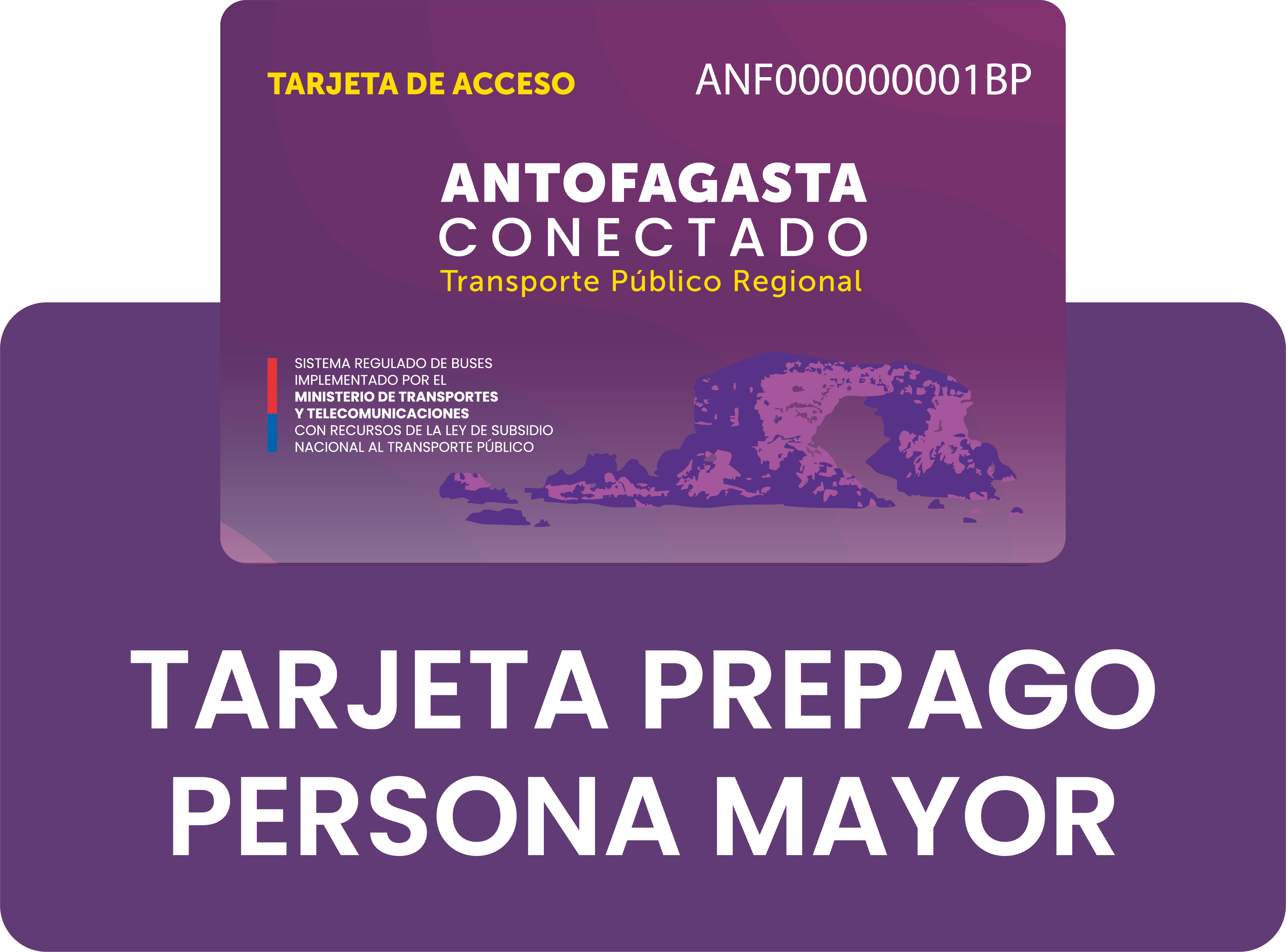 Descripción de la imagen 3